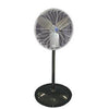 30 Pedestal Fan