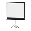 Projector Screen