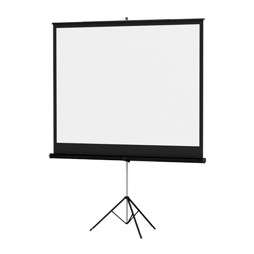 Projector Screen